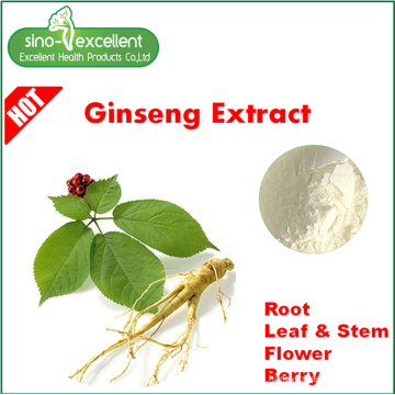 Geringe Pestizidrückstände Panax Ginseng Blattextrakt